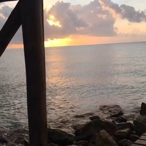 Meet your Posher, Lexie